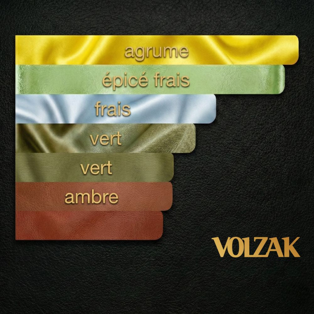 VOLZAK PARFUM VISIONARY 100ML HOMME
